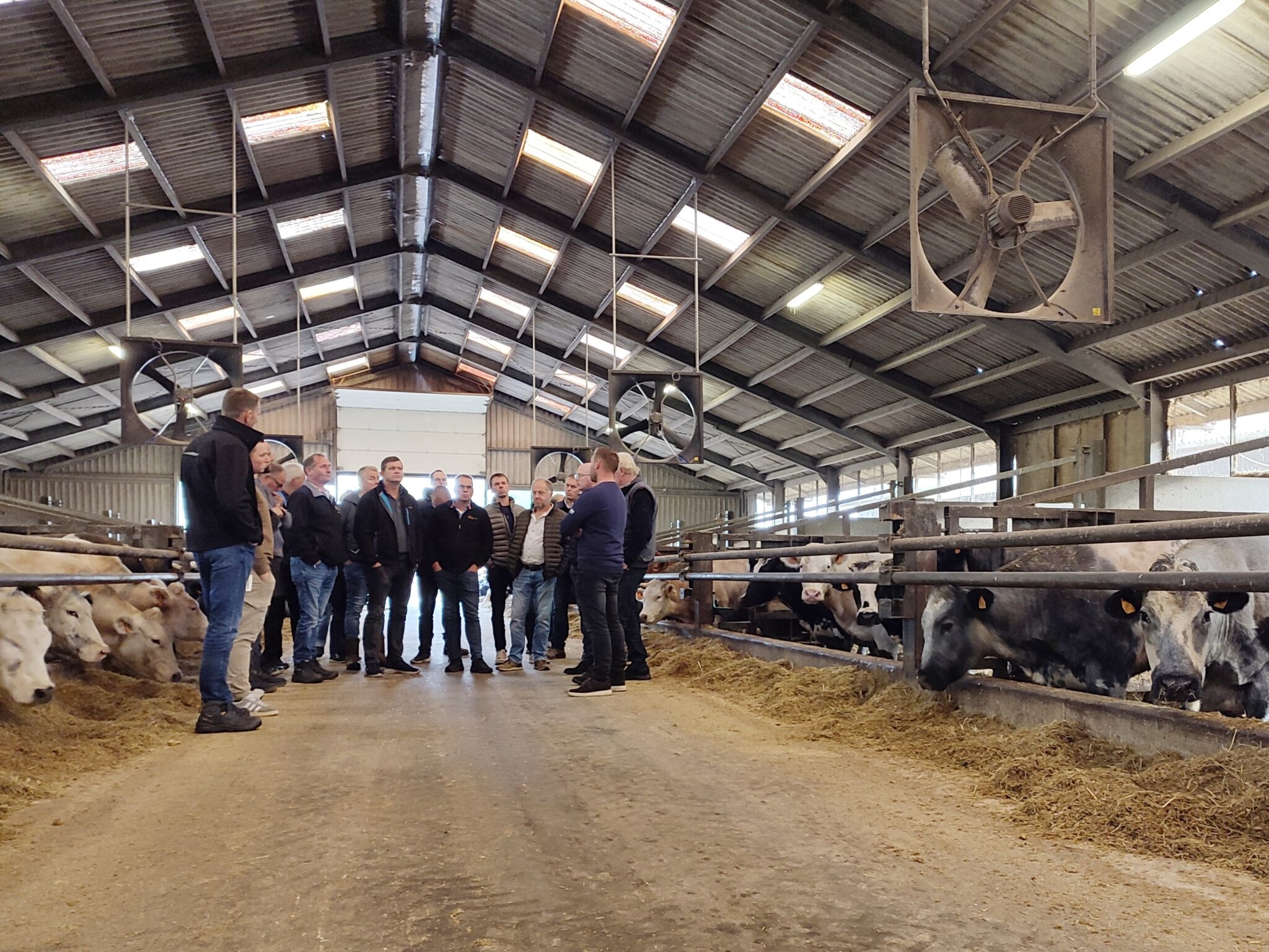 Excursie Weivlees