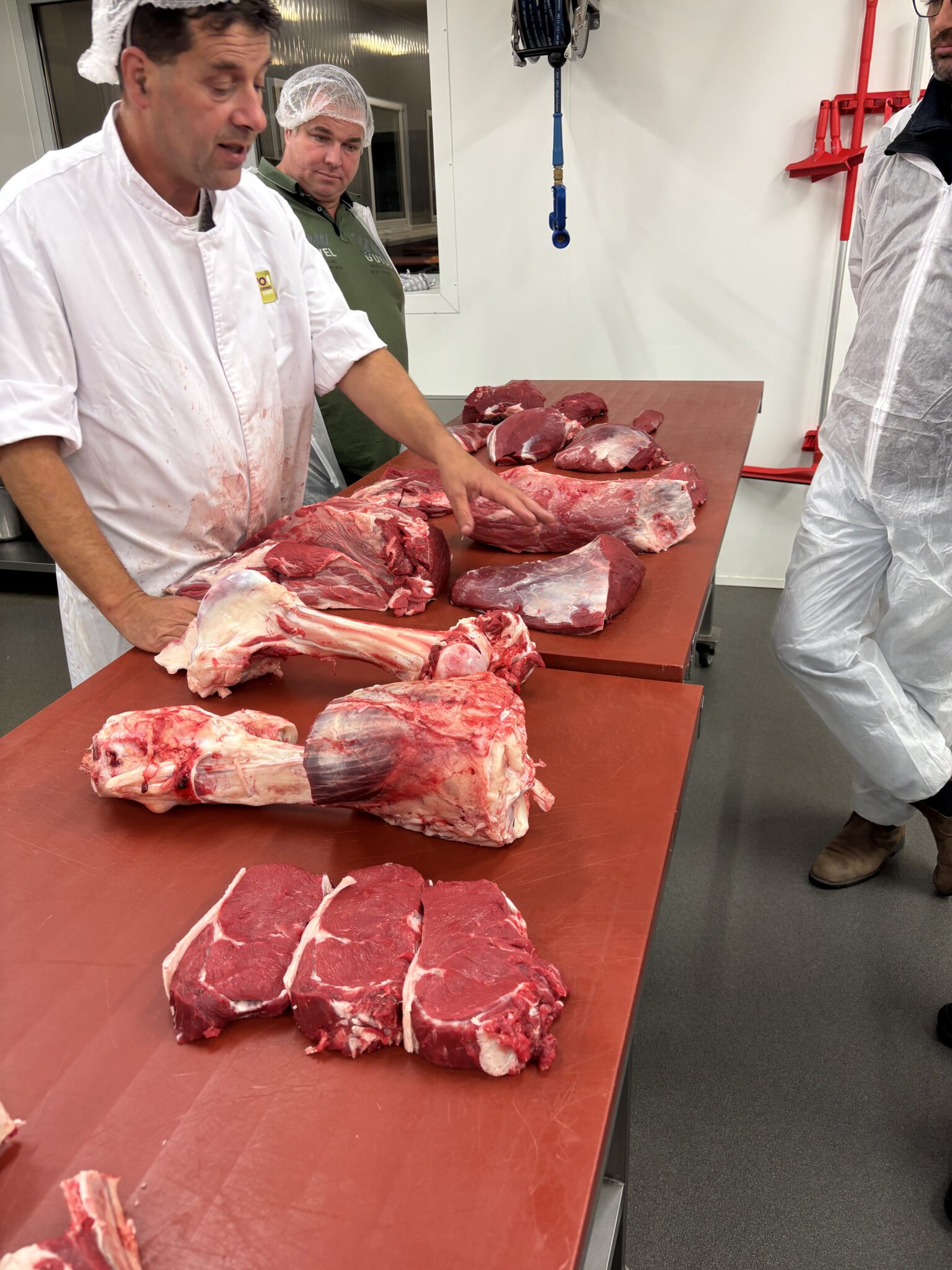 vleesonderdelen rund